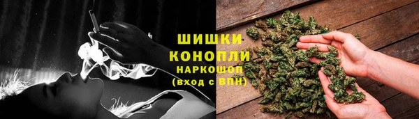 индика Гусиноозёрск